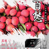 FPX 百態煙彈