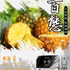 FPX 百態煙彈