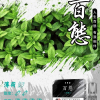 FPX 百態煙彈